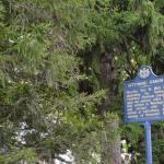 2017OTRA-1_837 (August 27, 2017)